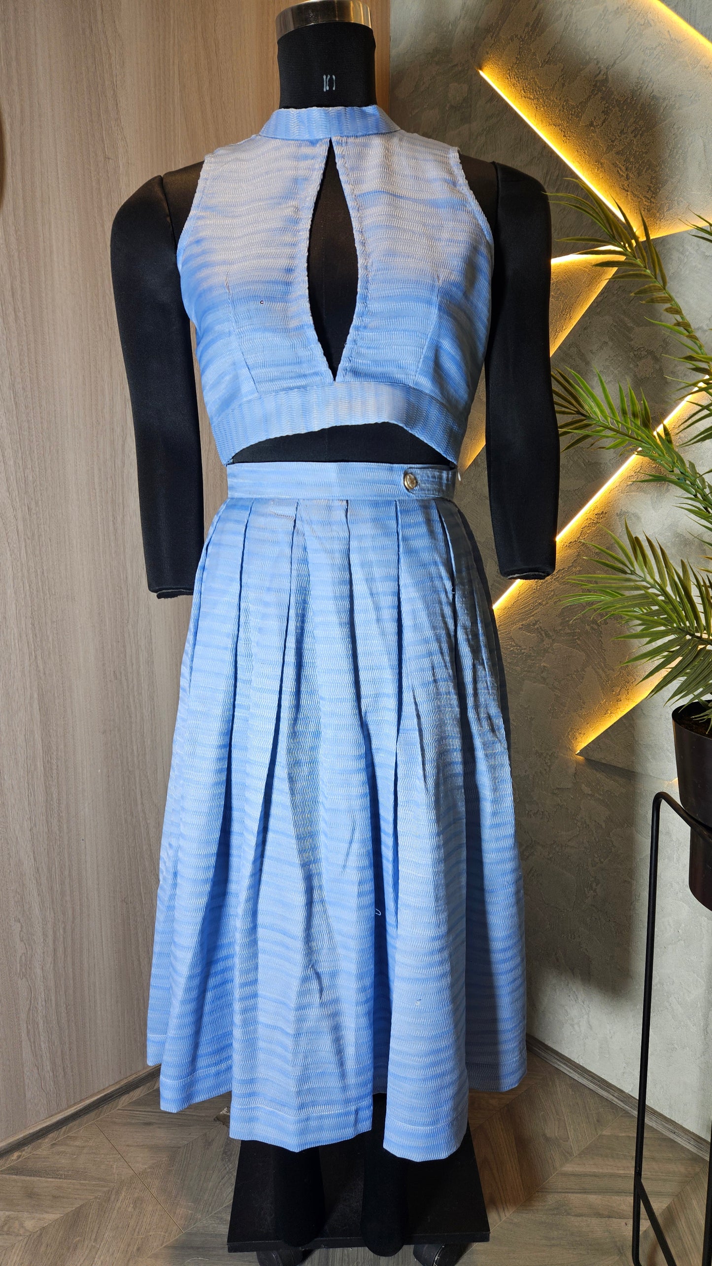 0126-C-HOB- Skyline Pleated Co-Ord Set - Made in India